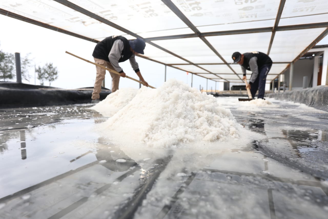 Salt Centre Terintegrasi Inovasi PHE WMO Siapkan Petani Garam Di