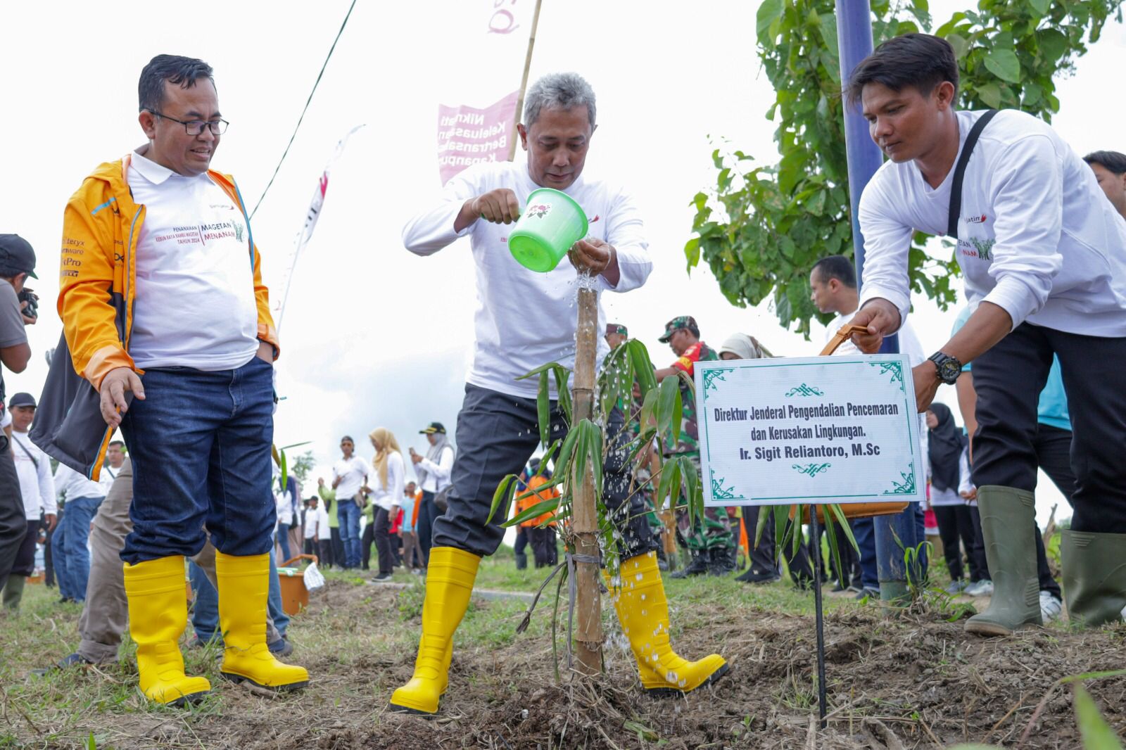 Klhk Skk Migas Dan Kkks Kolaborasi Tanam Pohon Bambu Wujudkan