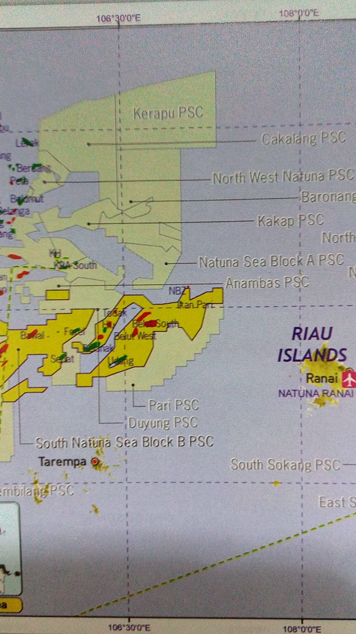 Tetap Dilanjutkan, Pertamina Cari Teknologi Kembangkan Blok East Natuna ...