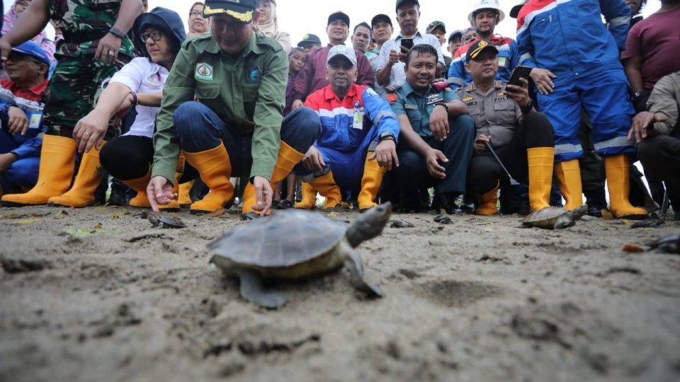  Membelah  Sungai Tamiang Melepasliarkan Satwa Langka 